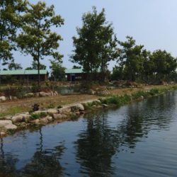 がら空きのフィッシングパーク高島の泉